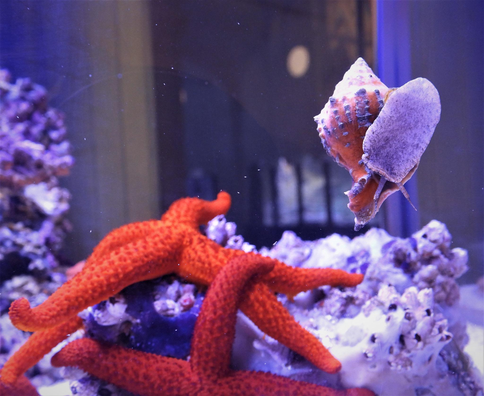 Aquarium et Villa Communale de Naples