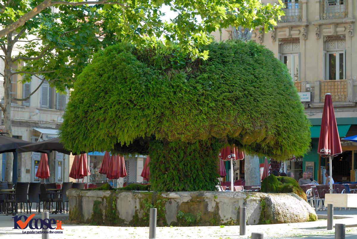 Salon-de-Provence en Provence