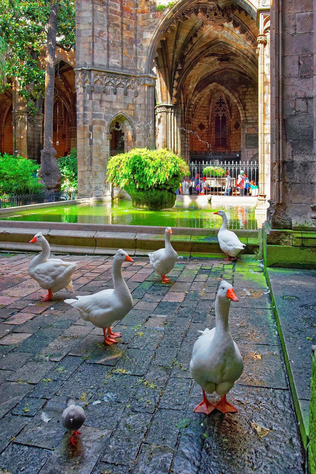 La Cathédrale de Barcelone