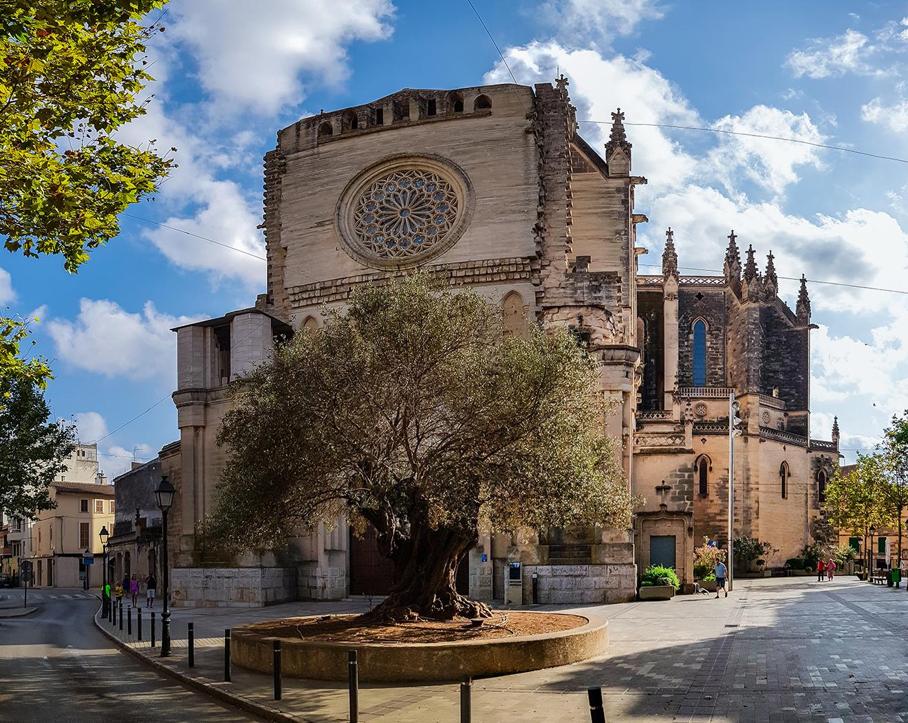 Villes et villages de Majorque : d'Alcudia à Llucmajor