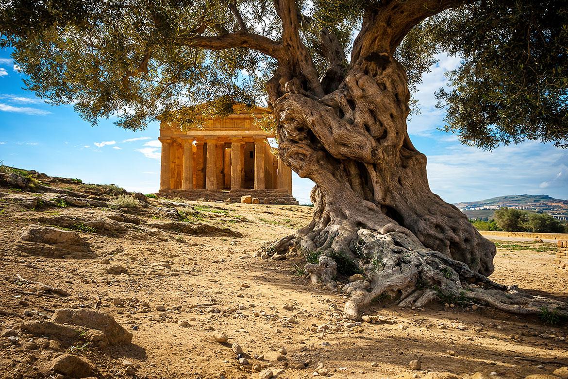 La Vallée des Temples d'Agrigente