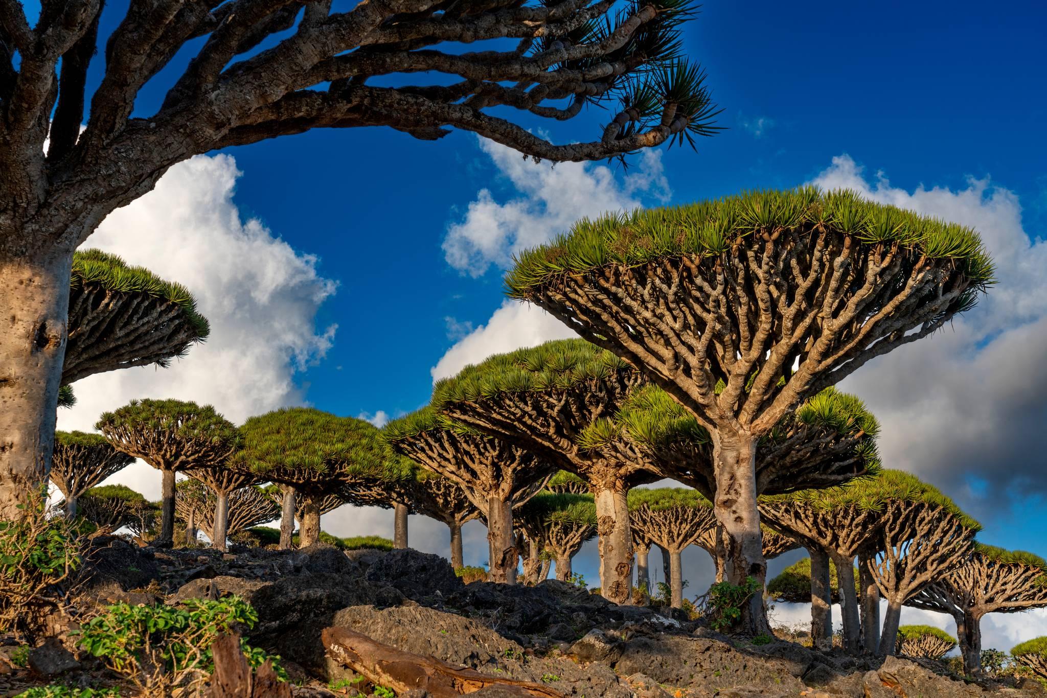 4 travel youtuber italiens à suivre absolument !