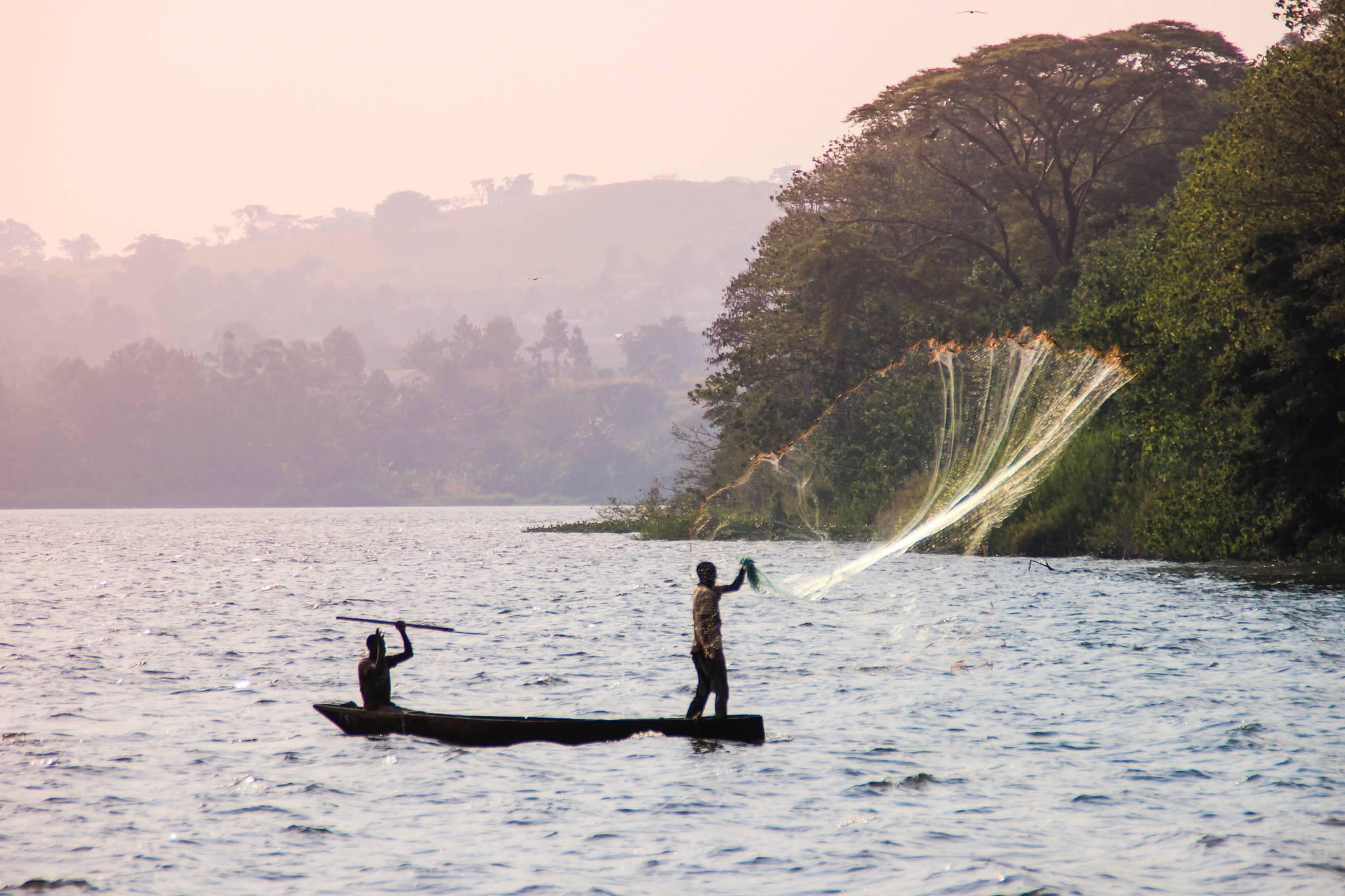 10 choses à voir en Tanzanie pour un voyage inoubliable