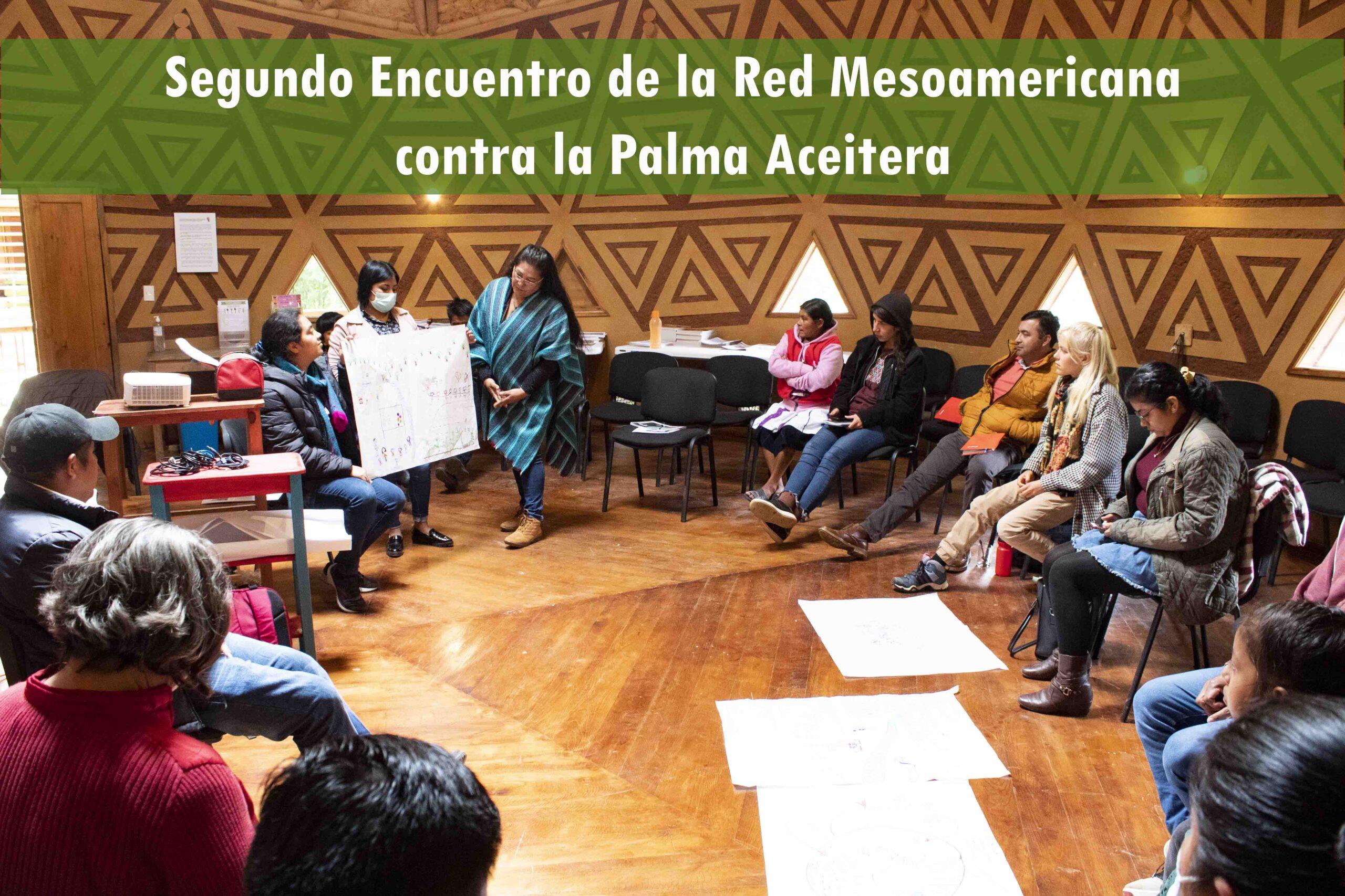 Palma aceitera – Otros Mundos Chiapas