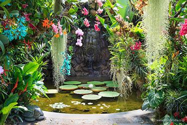 Les Jardins La Mortella à Ischia