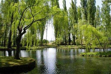Las Fuentes de Clitunno en Umbria