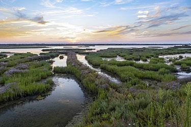 La Pialassa della Baiona à Ravenne - Photo Ravenne Tourisme