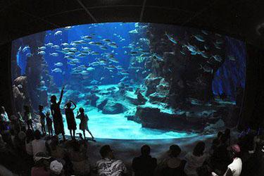 L'Acquarium de Montpellier