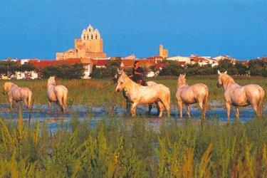 Saintes-Maries-de-la-Mer en Provence