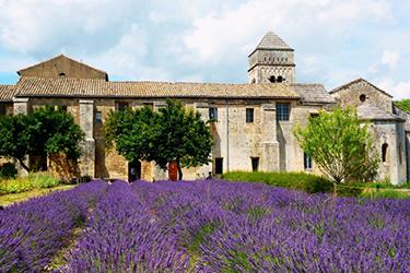 Saint-Rémy de Provence en Provence
