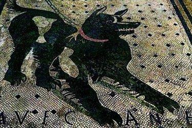 Le Mosaïque du Cave canem à Pompéi