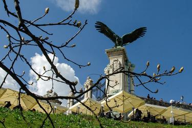 Le rapace Turul dans le Palais Royal de Budapest
