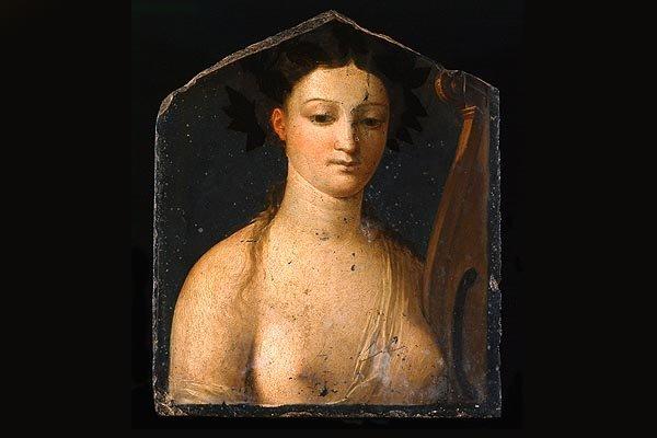 La Musa Polinia