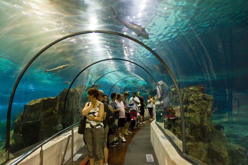 L'Aquarium de Barcelone