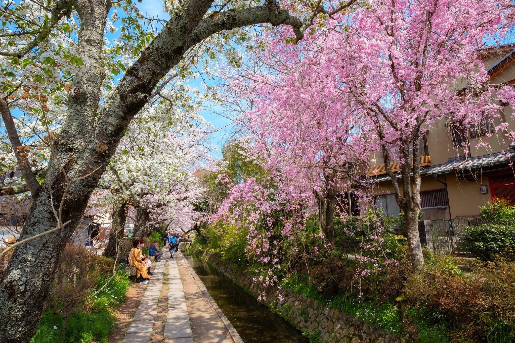 kyoto le sentier du philosophe