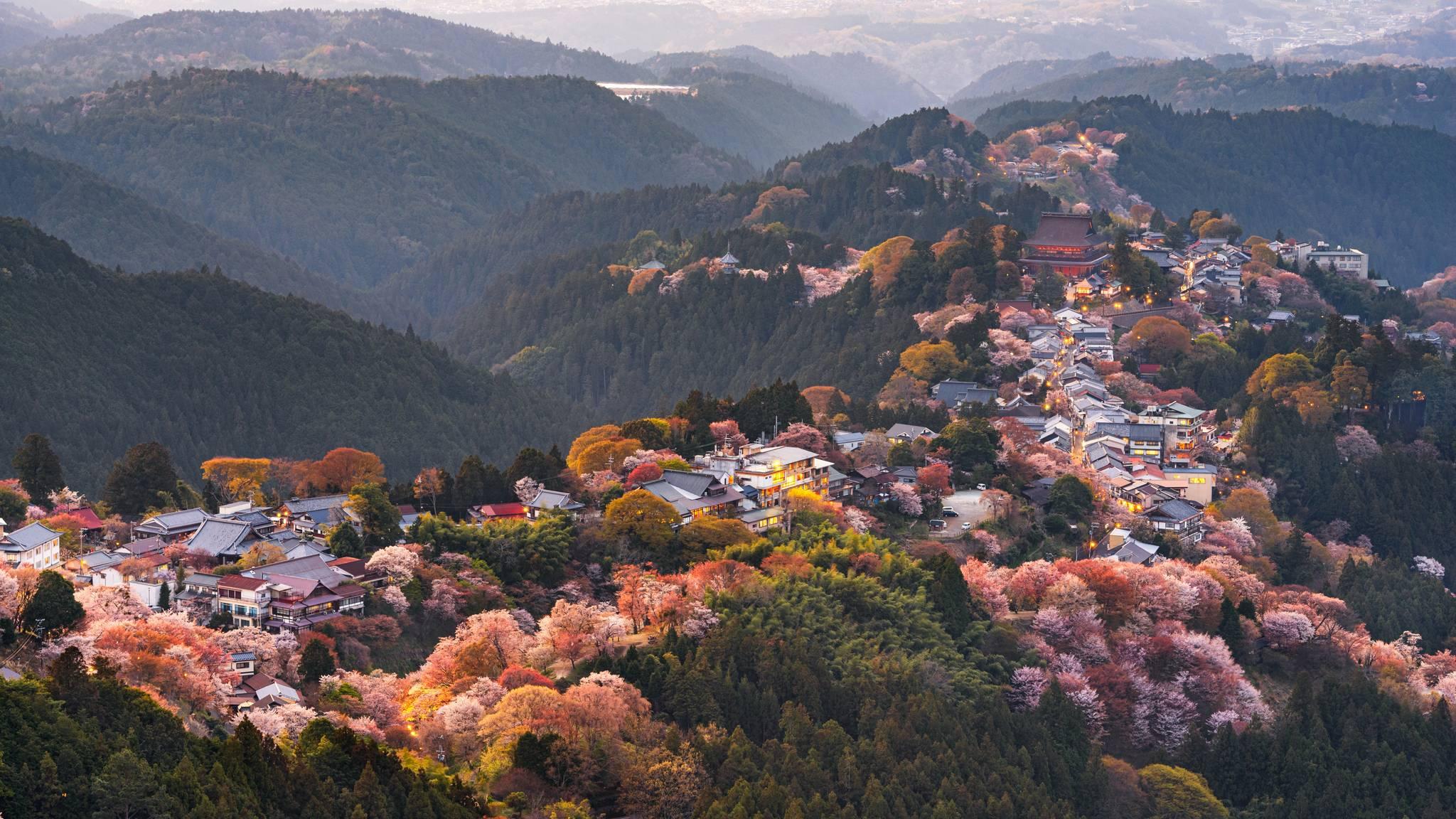 mont yoshino à nara