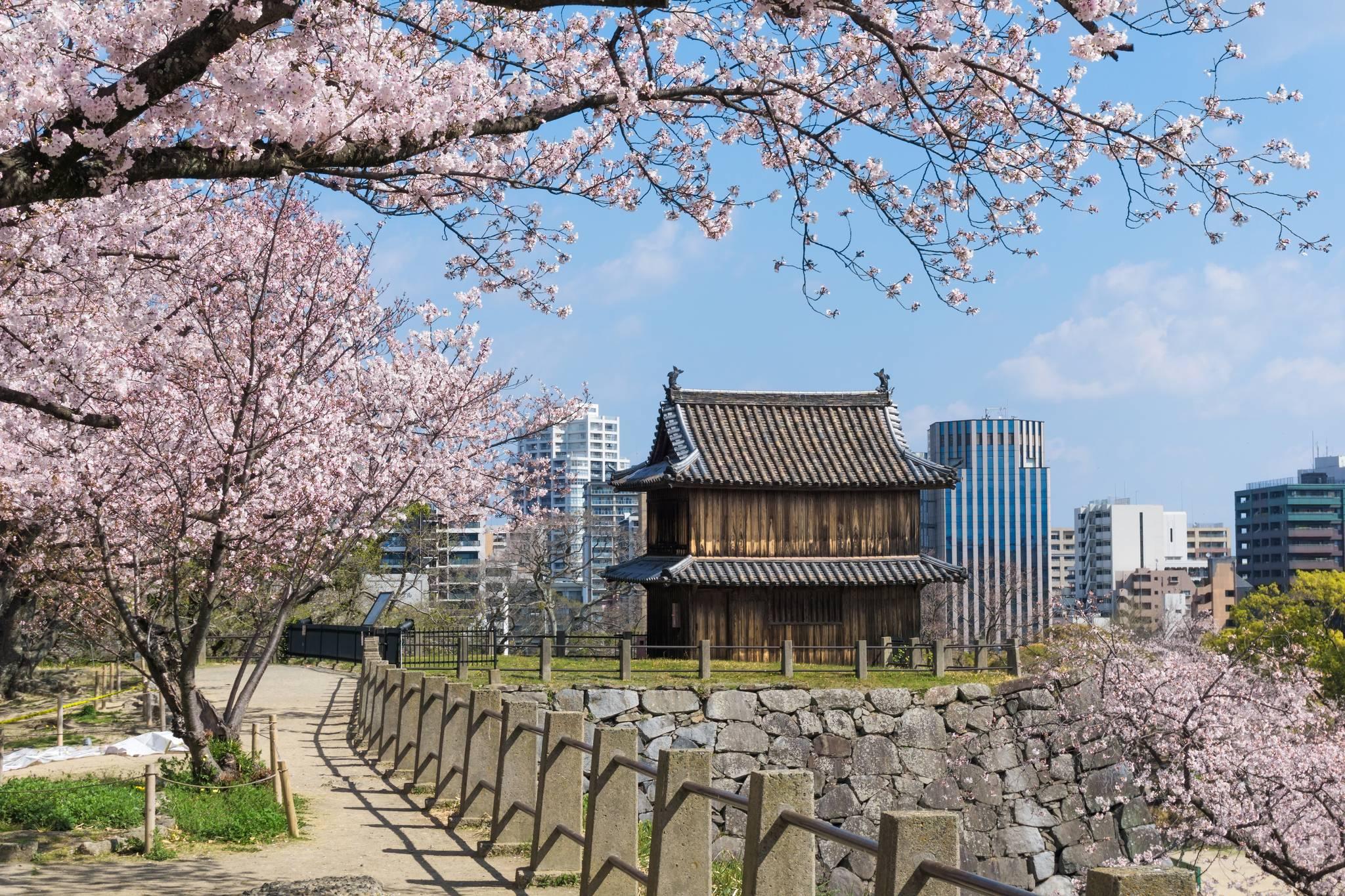 fukuoka le parc de maizuru