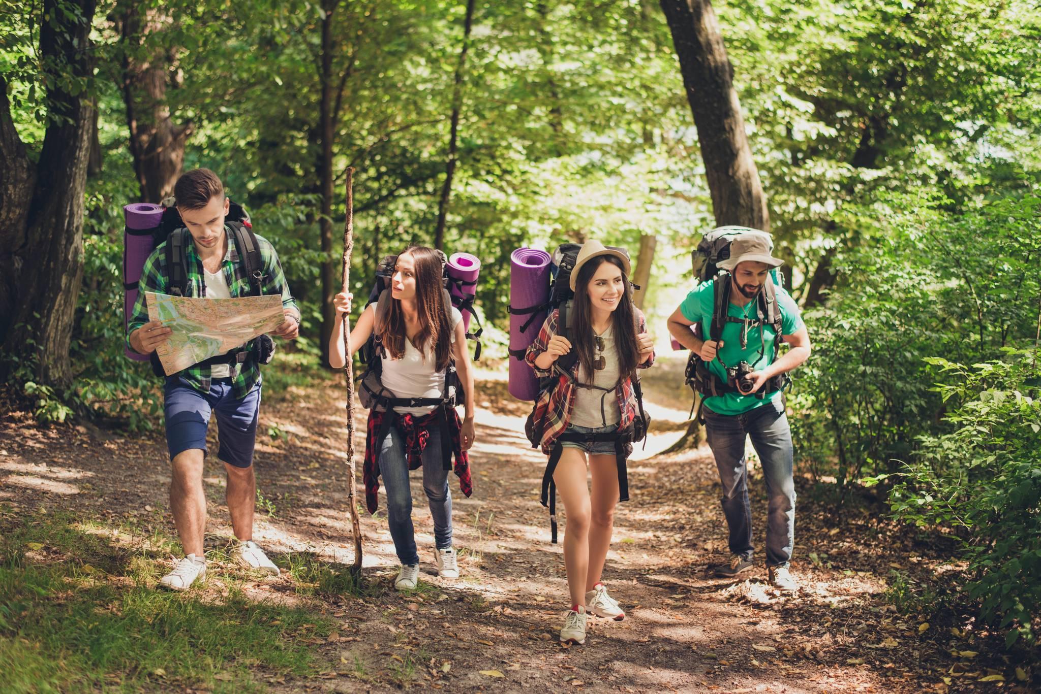 groupe de jeunes faisant de la randonnée dans les bois
