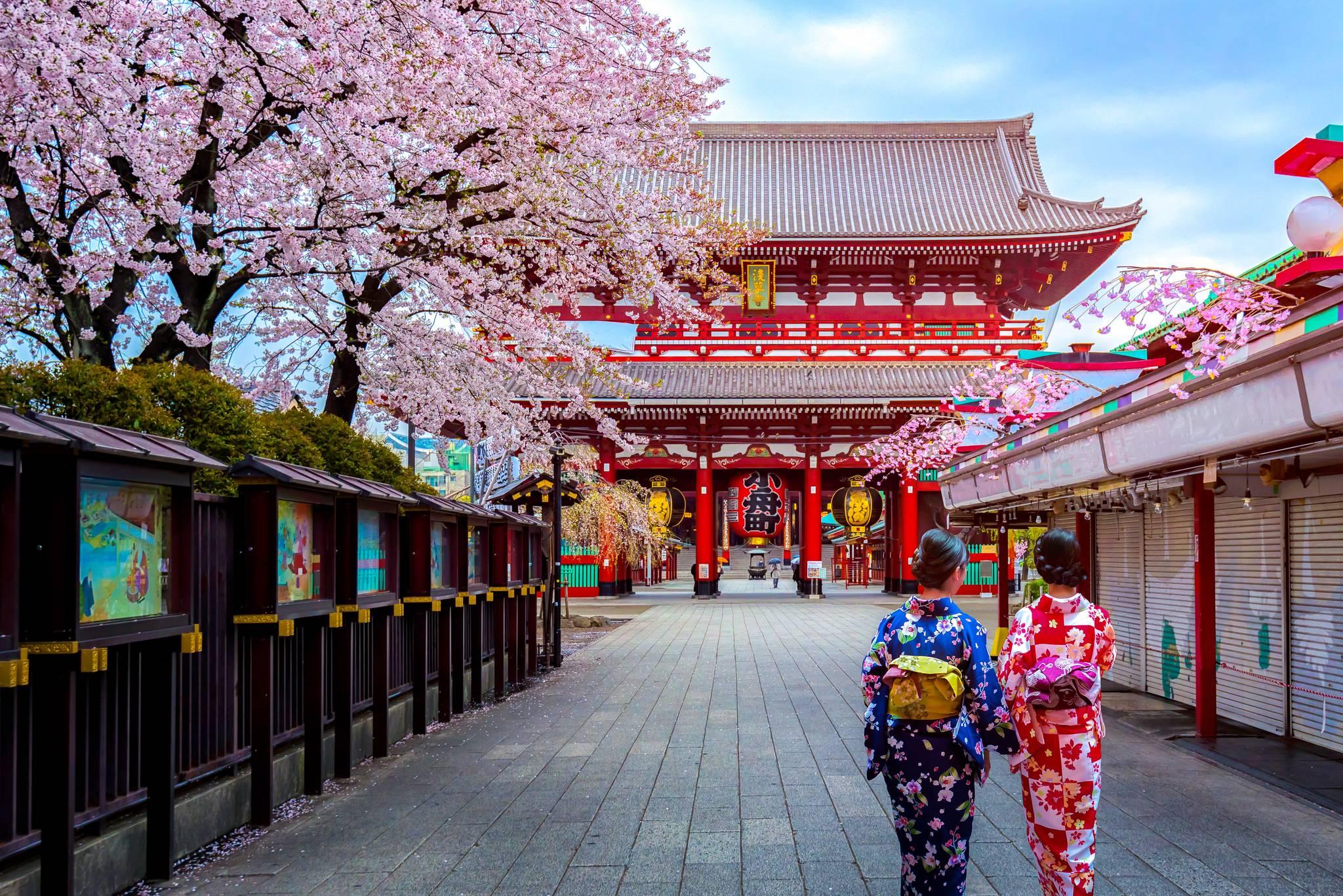 geisha à Tokyo