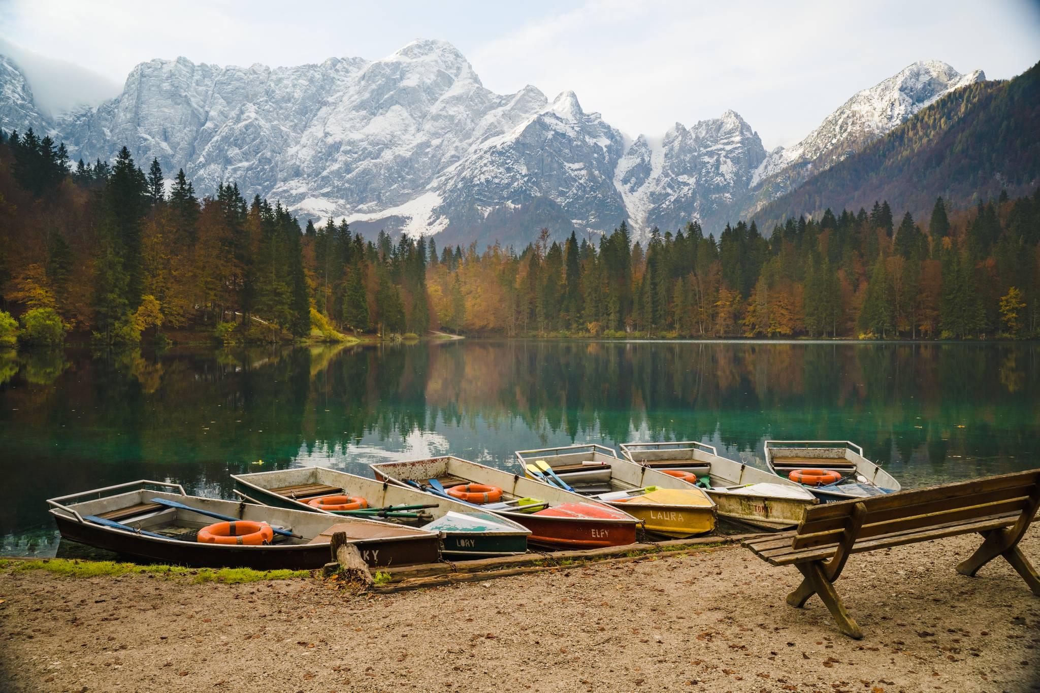 forêt de tarvisio en frioul