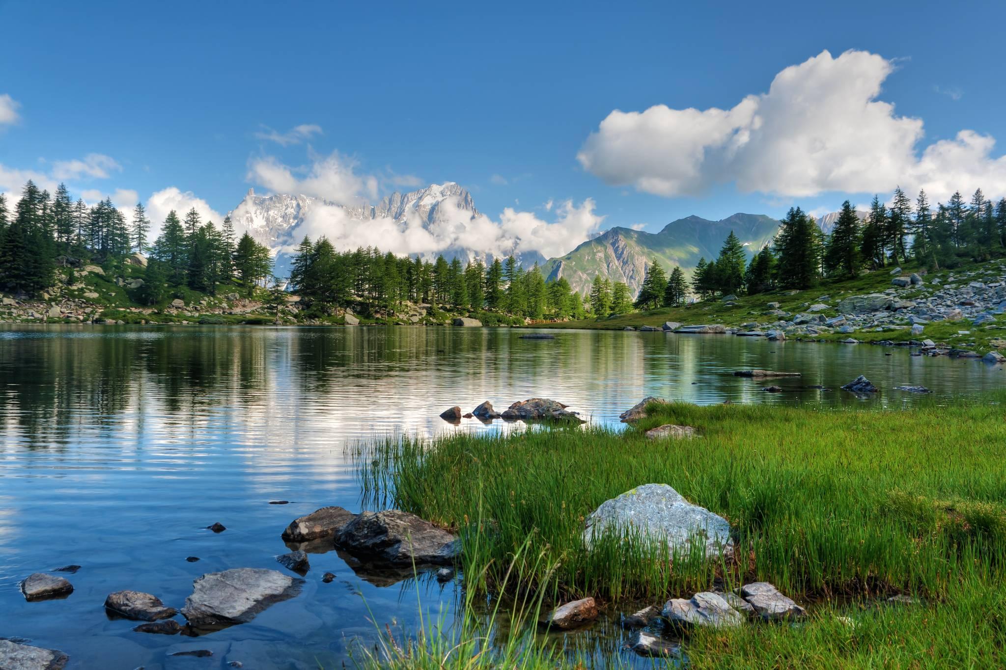 forêt de la thuile en vallée d aoste
