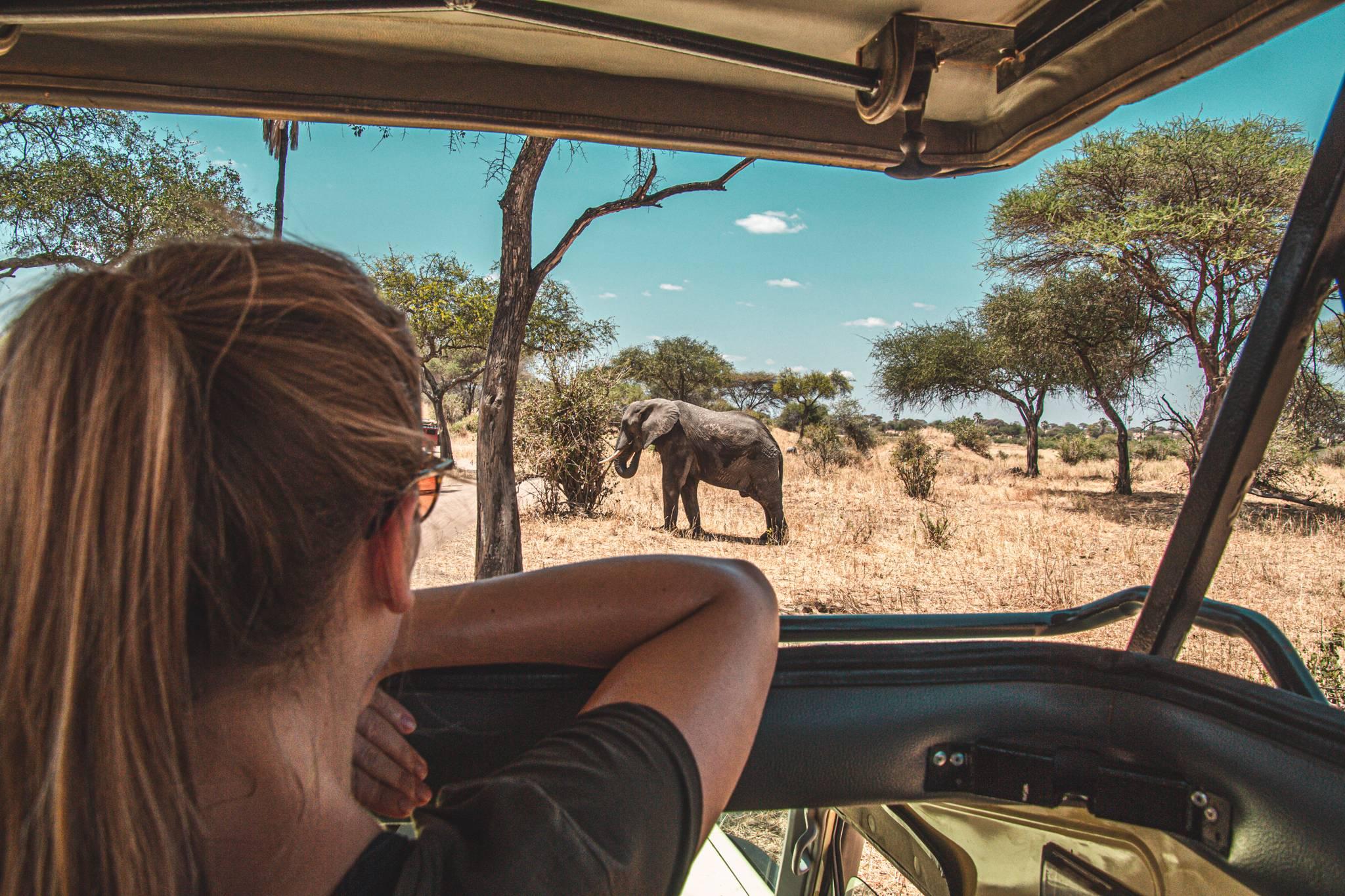fille en safari en Afrique