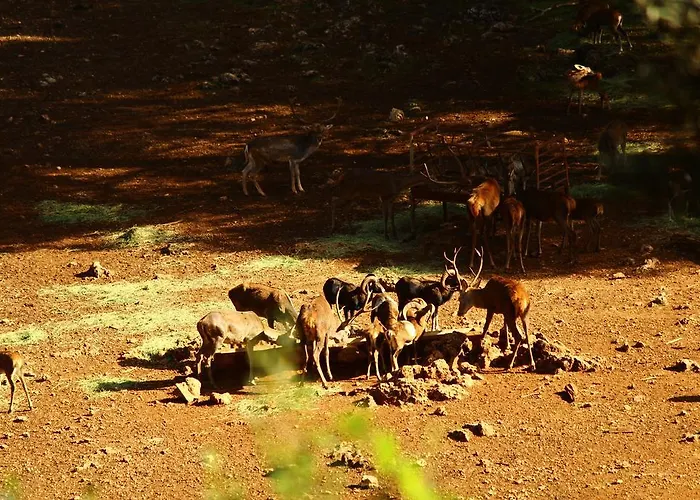 Mejores Hoteles con Spa en la Sierra de Cazorla