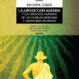 Presentación PARA EL PRESENTE INFORME, LA JURISDICCIÓN O JUSTICIA AGRARIA EN MÉXICO COMPRENDE VARIAS INSTITUCIONES, todas muy importantes para la vigencia de los derechos humanos de los pueblos indígenas, comunidades y ejidos; i) los Tribunales Agrarios, es decir, una jurisdicción especializada y, en principio, protectora […]